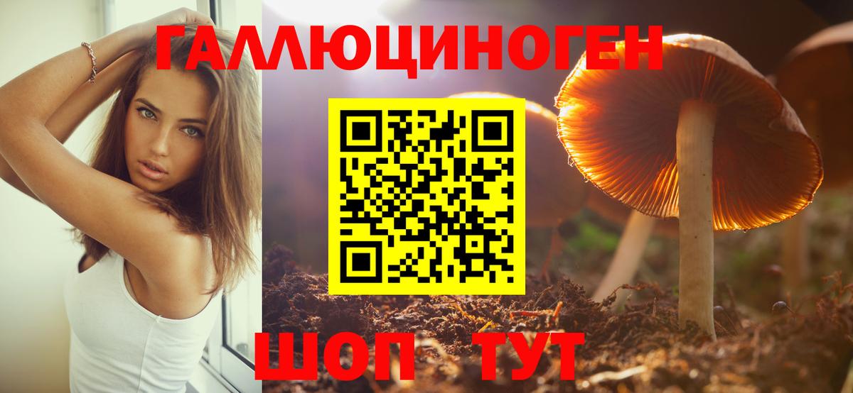 Галлюциногенные грибы мицелий Коряжма